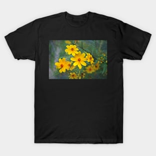 Helianthus Porteri T-Shirt